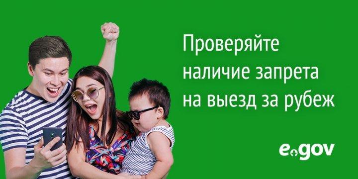 Электронное правительство