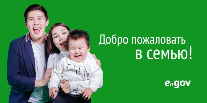 Электронное правительство