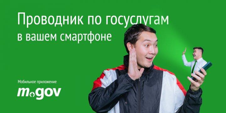 Электронное правительство